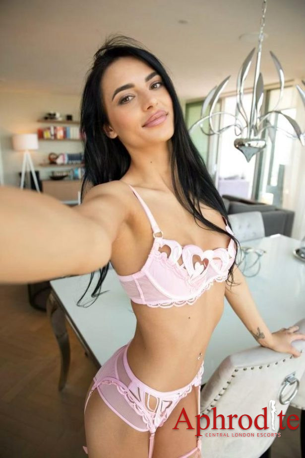 Royal Oak brunette escort Alecta