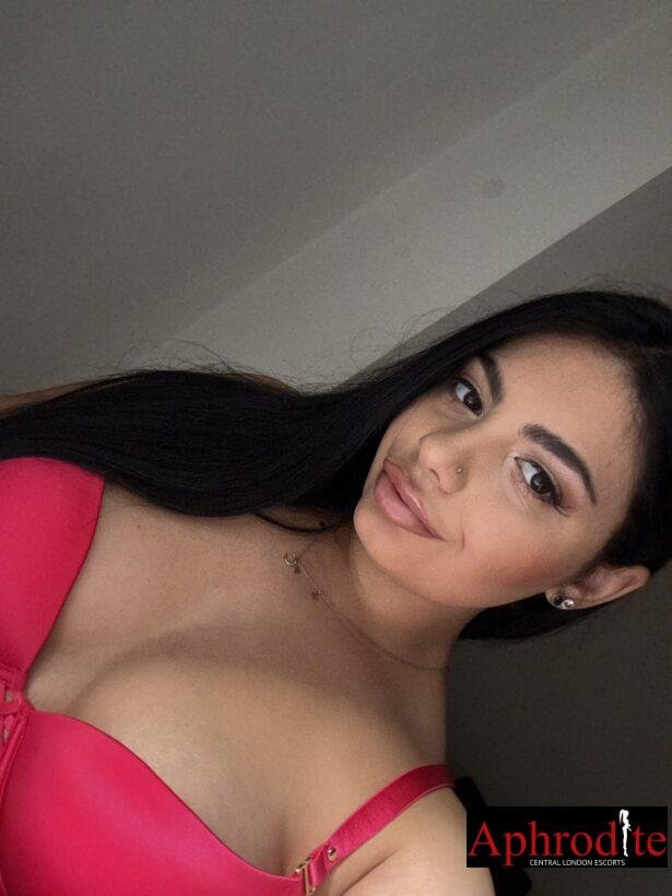 london escort agency Aphrodite Escorts 24/7- Call Now! Madlena